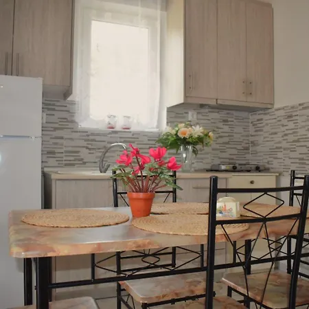 Alexia's House Apartament *